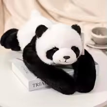 peluche lestee panda sur livre